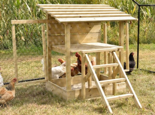 Chicken play equipment 167x120x111 cm