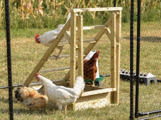 Chicken ladder 61x87x90cm