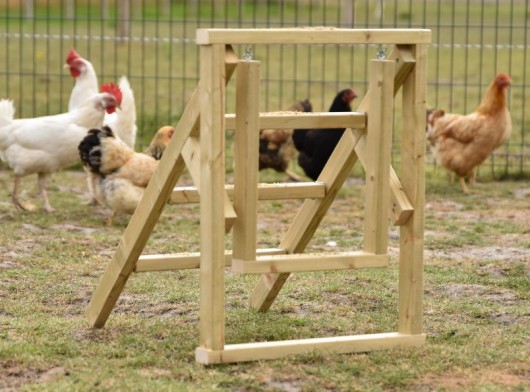 Chicken ladder 47x56x59 cm