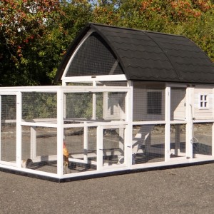 Rabbit hutch Kathedraal XL with added run and foundations 291x174x181cm