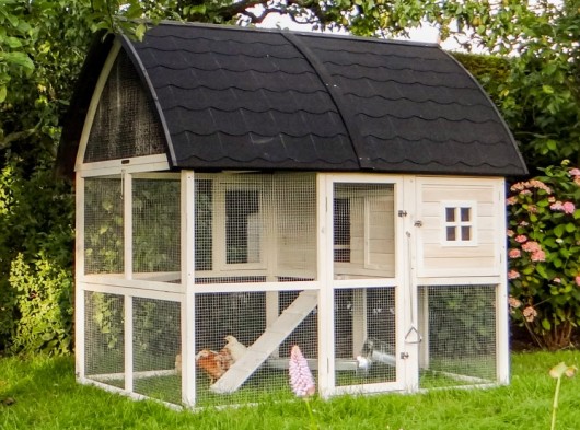 Large chicken run XL
