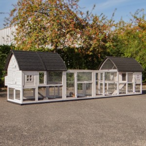 Large rabbit house Kathedraal Luxe Large Combi with runs and fundament 572x150x157cm
