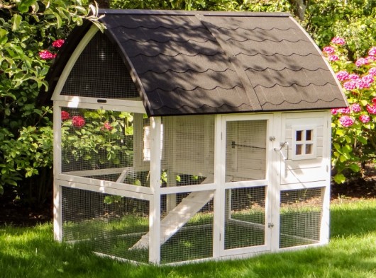 Large chicken coop Kathedraal