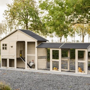 Chicken coop Holiday Large with double run 489x100x195 cm