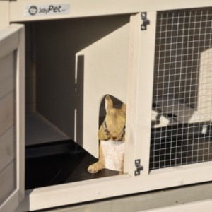 The sleeping compartment of the guinea pig hutch is provided with a removable partition wall