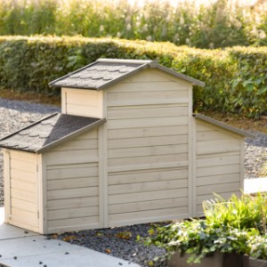 View the Annemieke guinea pig hutch from the back.