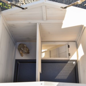 The guinea pig hutch Annemieke has 2 floors