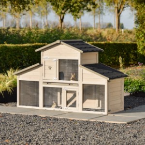 The hutch Annemieke is suitable for your guinea pigs