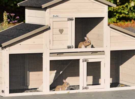Plexiglass insulation set for rabbit hutch Annemieke