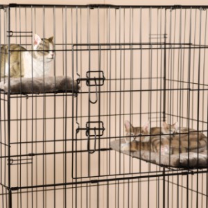 Cat cage Level with closed doors
