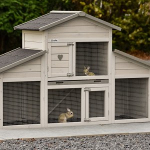 The hutch Annemieke is suitable for your guinea pigs