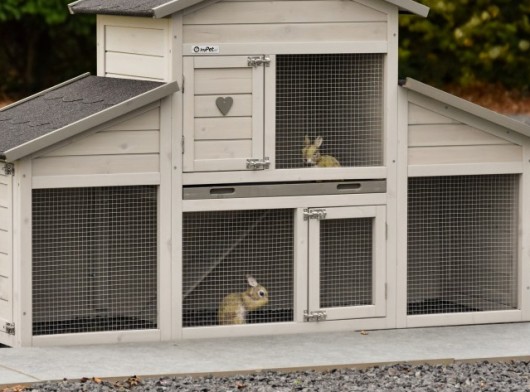 Plexiglass insulation set for rabbit hutch Annemieke