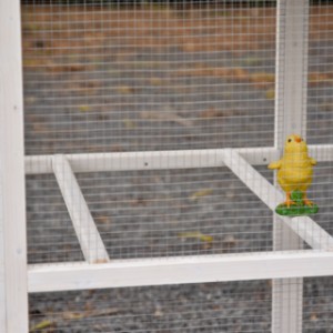 In the run of chicken coop Alexia, there are two perches.