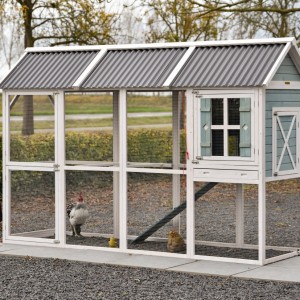 Chicken coop Alexia 294x102x191cm