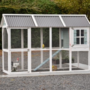 Chicken coop Alexia