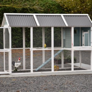 Chicken coop Alexia has many convenient doors.