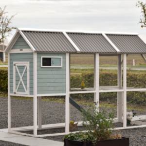 Take a look at the back of chicken coop Alexia.