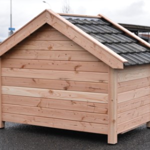 Take a look at the back of the insulated Turbo doghouse