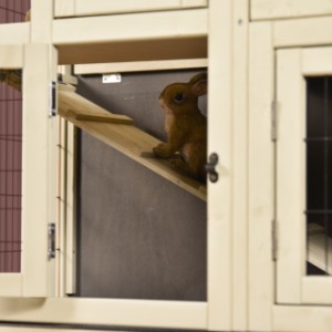 The ramp allows the rabbits in rabbit cage Bobby to move from one level to the other.