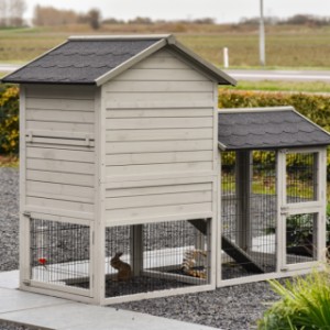 Take a look at the back of the Prestige Medium chicken coop with run in light-grey.