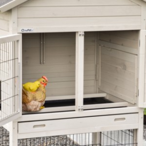 In the night shelter of the Prestige Medium, chickens can perch calmly and sheltered.