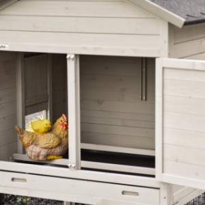 In the night house of the Prestige Medium, the chickens can perch calmly and sheltered.