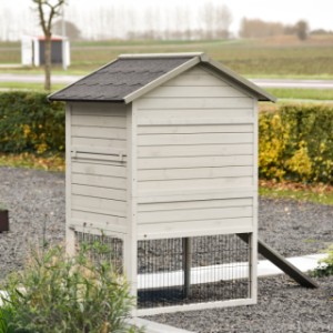 Take a look at the back of the Prestige Medium Light Grey chicken coop.