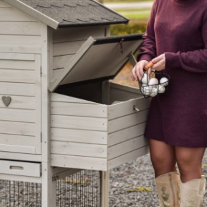 Thanks to the convenient support strip, you can easily take eggs from the nesting box of the Prestige Medium.