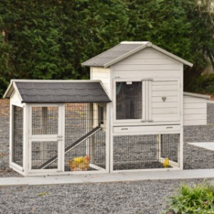 Prestige Medium Light Grey with run and nesting box