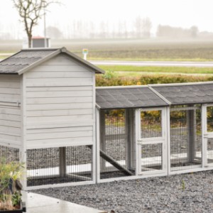 Take a look at the back of the Prestige Medium with double run.