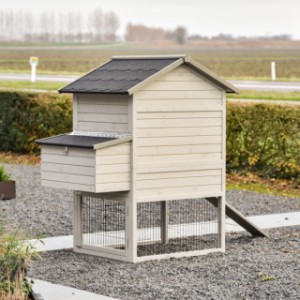 Take a look at the back of the Prestige Medium with nesting box.