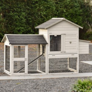 Prestige Medium Light Grey with run and nesting box