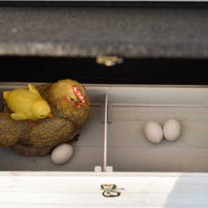 The nesting box of chickencoop Ambiance Large is divided into 2 sections