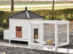 Chickencoop Ambiance Large with run 218x93x122cm