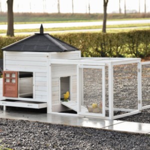The Ambiance Large chicken coop with run has many doors and a removable roof