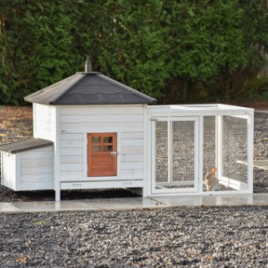 Ambiance Large terra rabbit hutch