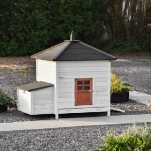 Ambiance Large chicken coop terra