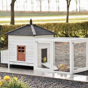 Chickencoop Ambiance Large with run 218x93x122cm