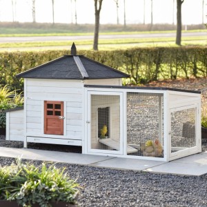Chickencoop Ambiance Large with run 218x93x122cm