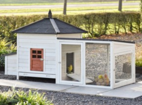 Chickencoop Ambiance Large with run 218x93x122cm