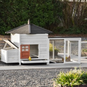 The Ambiance Large chicken coop with run has many doors and a removable roof