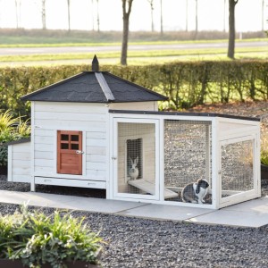 Ambiance Large terra rabbit hutch 218×93×122 cm