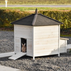 Take a look at the back of the Ambiance Large rabbit hutch
