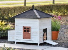 Ambiance Large terra rabbit hutch 121×93×122 cm
