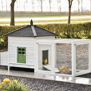 Chickencoop Ambiance Large with run 218x93x122cm
