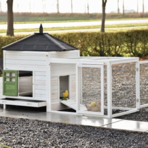 The Ambiance Large chicken coop with run has many doors and a removable roof