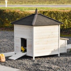 Take a look at the back of the Ambiance Large chicken coop