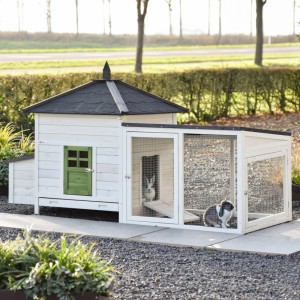 Ambiance Large terra rabbit hutch 218×93×122 cm