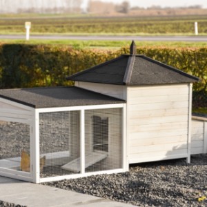 Take a look at the back of the Ambiance Large rabbit hutch