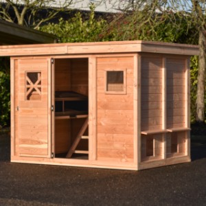 Take a look inside the cozy chicken coop